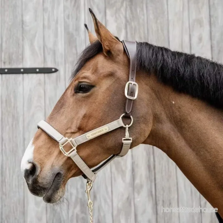Anatomical horse halter nylon Kentucky 5407008893750