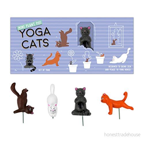 Gift Republic mini växtkruka yoga katter, flerfärgad, 1 5056004332482