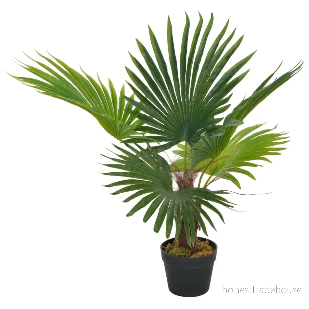 Konstväxt Palm med kruka 70 cm grön 8719883553528