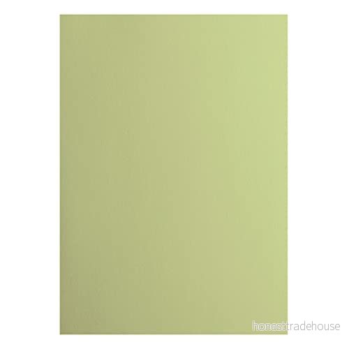 Vaessen Creative 2927 066 Florence Cardstock papper, gul, 216 gram/m², DIN A4, 10 stycken, slät, för scrapbooking, korttillverkning, stansning och andra pappershantverk, Anise 8716052221042