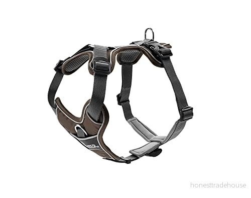 HUNTER DIVO hundsele, XS, 3447 cm, brun/grå 4016739688910