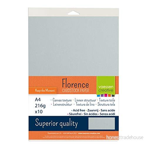 Vaessen Creative 2928 043A4 Florens cardstock papper, ljusgrå, 216 gram/m², DIN A4, 10 stycken, konsistens, för scrapbooking, korttillverkning, stansning och andra papperslådor 8716052221714