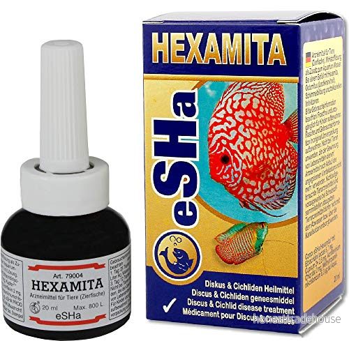 ESHA Hexamita Medicin 20 ml 8712592790048