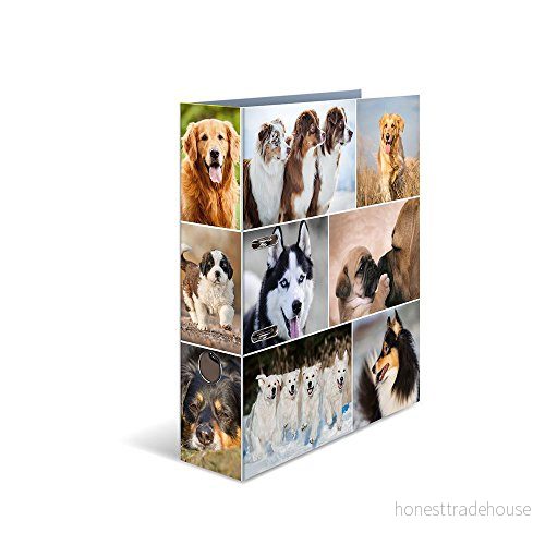Herma 7165 motivmapp DIN A4 Animals Hunde, 7 cm bred av stabil kartong med djurmotiv innertryck, ringmapp, presentmapp, briefordner, 1 mapp 4008705071659