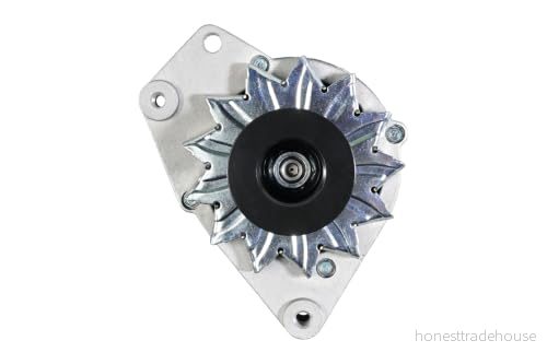 HELLA 8EL 012 427 581 Alternateur 14V 65A VOLKSWAGEN: GOLF 2, 1 Cabriolet, Santana Berline, AUDI: 80 B2, Coupe B2 4082300499087