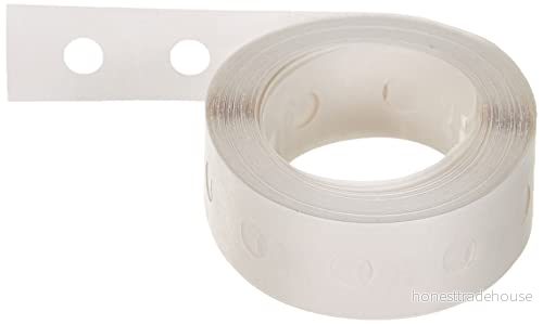 Leitz Hålförstärkningsringar, självhäftande, vit transparent, låda med 500 stycken, 1706000 4002432302918
