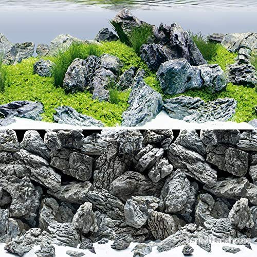 Juwel Poster 4 Aquascape / Stone L 100x50 cm 4022573862645