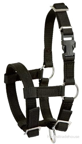 ALPACA HALTER 4018653270998