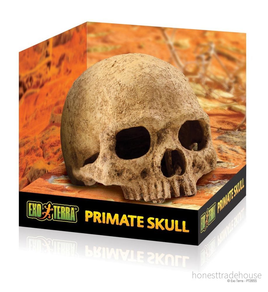 Exo Terra Dödskalle 15561228558