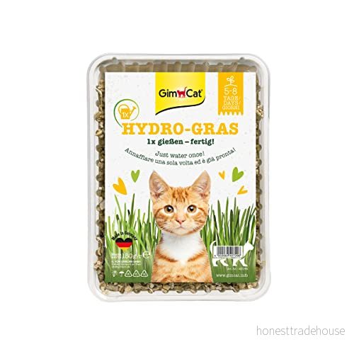 GimCat Hydro gräs Färskt kattgräs från kontrollerad fältodling på endast 5 8 dagar 1 skål (1 x 150 g) 4002064407296