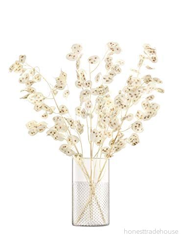 LSA International G1645 25 148 Wicker vas/lykta, glas 5012548571466