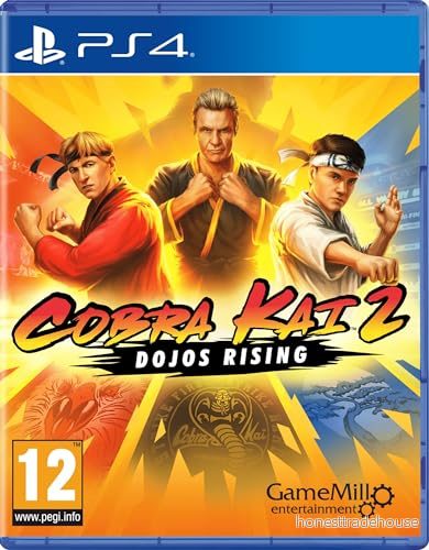 Cobra Kai 2: Dojos Rising 5060968300012