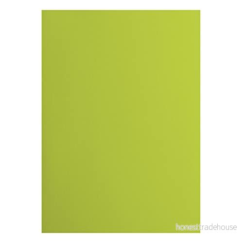 Vaessen Creative 2927 068 Florens cardstock papper, grön, 216 gram/m², DIN A4, 10 stycken, slät, för scrapbooking, korttillverkning, stansning och andra papperslådor 8716052221370