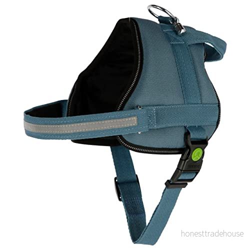 Maxi-Pet 80211 porslin Maestro 2.0, med adress 4018653991961