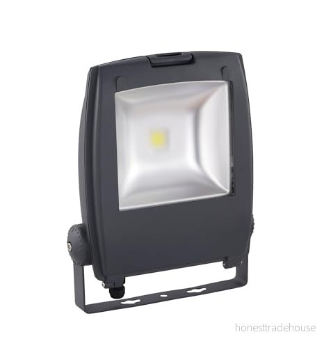 EGLO LED strålkastare Gambettola Pro, utomhuslampa vridbar, spotlight i aluminium antracit, klart glas, kallvit, IP65 9002759338350