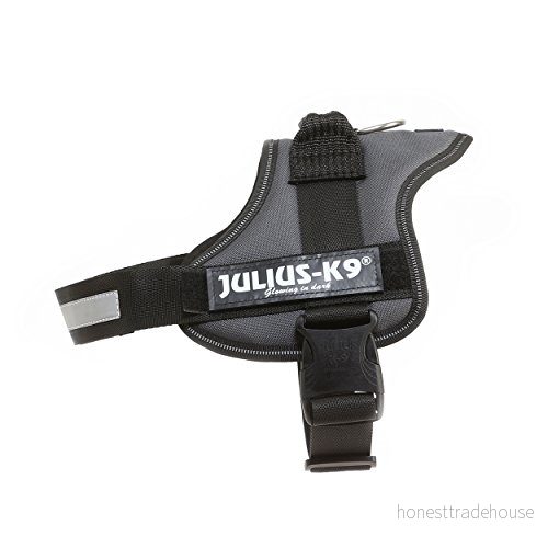 K9 Kraftsele, Storlek: L/1, Antracit 5999053663940