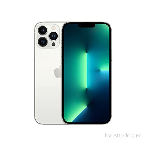 Apple iPhone 13 Pro Max (256 GB) silver 194252699256