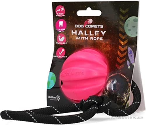 Dog Comets Swift Tuttle Ball Ø 6 cm med rep hundleksak av naturgummi flottlande och robust rosa 8716759606203