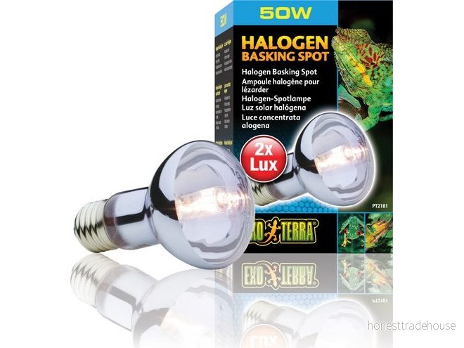 Exo Terra Halogen Basking Spot 50 W 15561221818