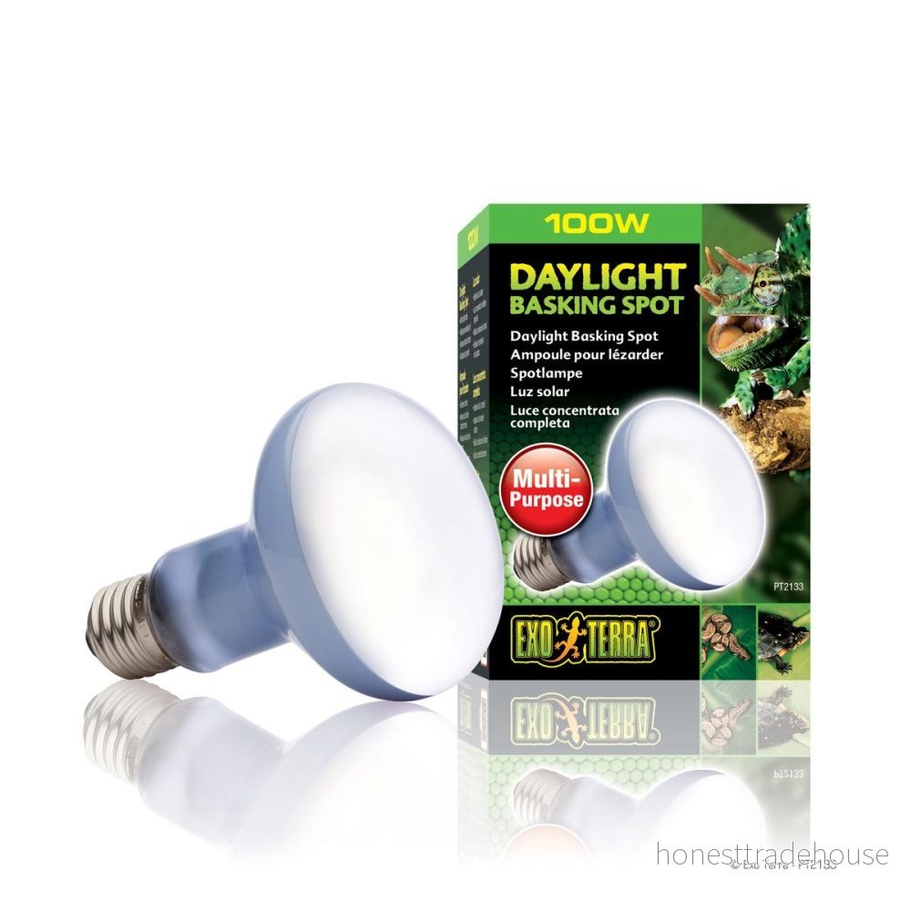 Exo Terra Daylight Basking Spot 100 W 15561221337